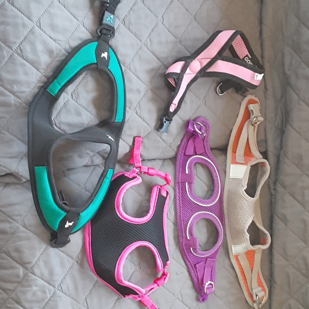 Puppy harnesses